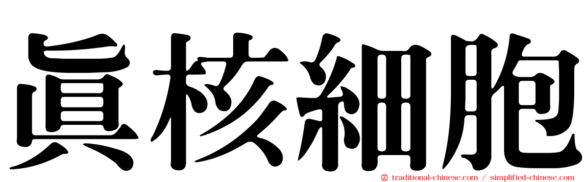 真核細胞