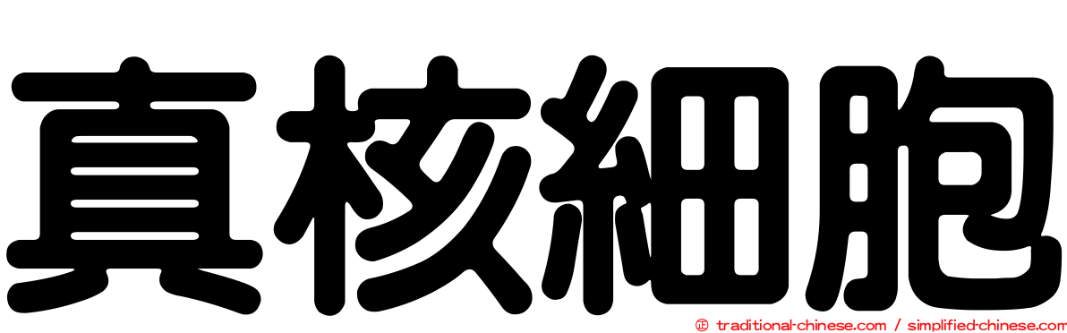 真核細胞