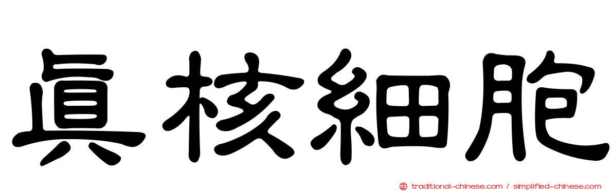 真核細胞