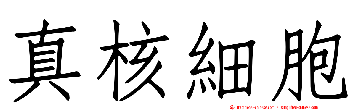真核細胞