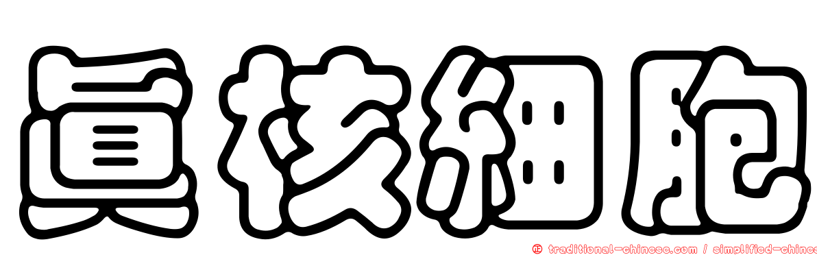 真核細胞