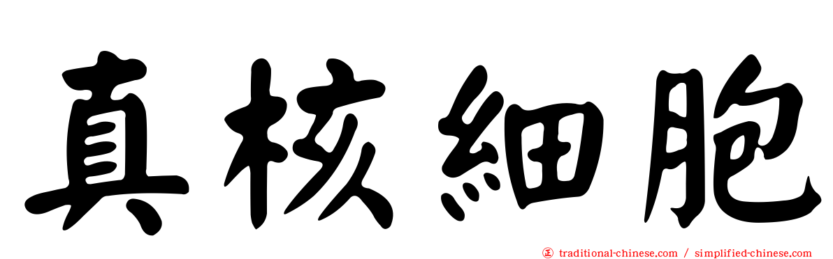 真核細胞