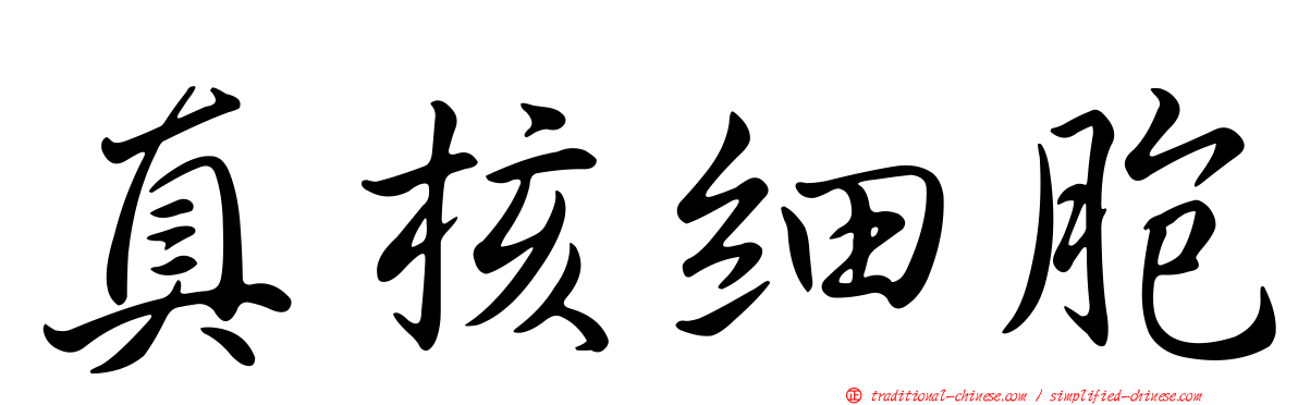 真核細胞