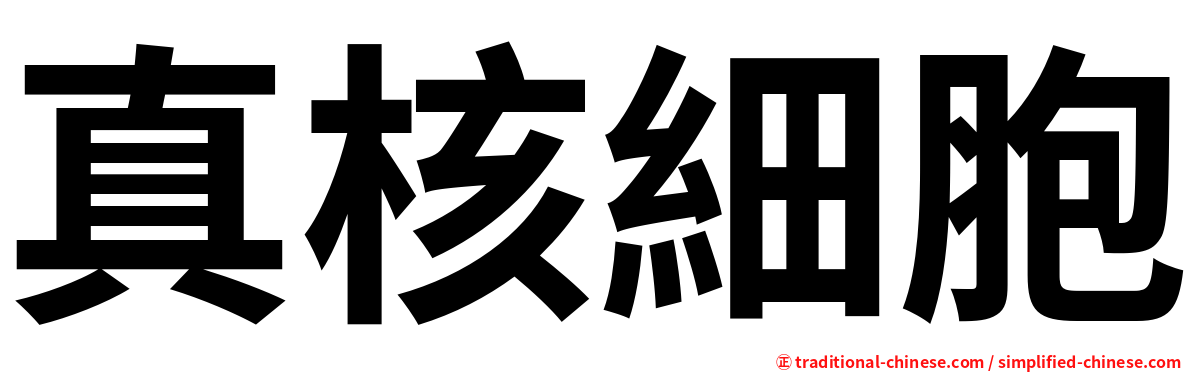 真核細胞