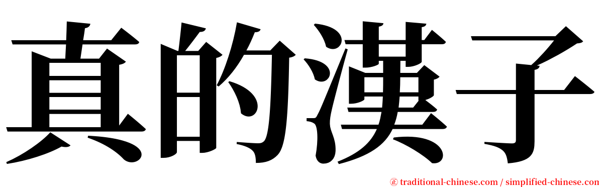 真的漢子 serif font
