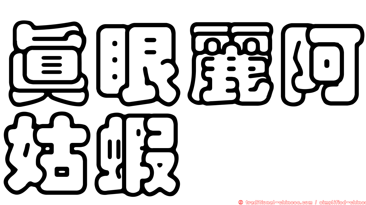 真眼麗阿姑蝦