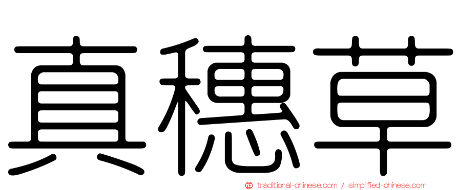真穗草