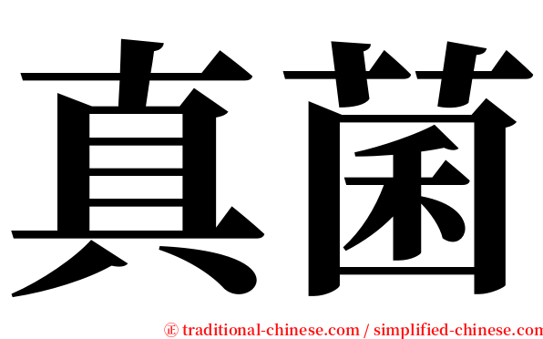真菌 serif font