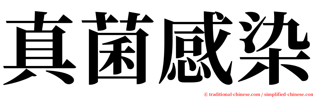 真菌感染 serif font
