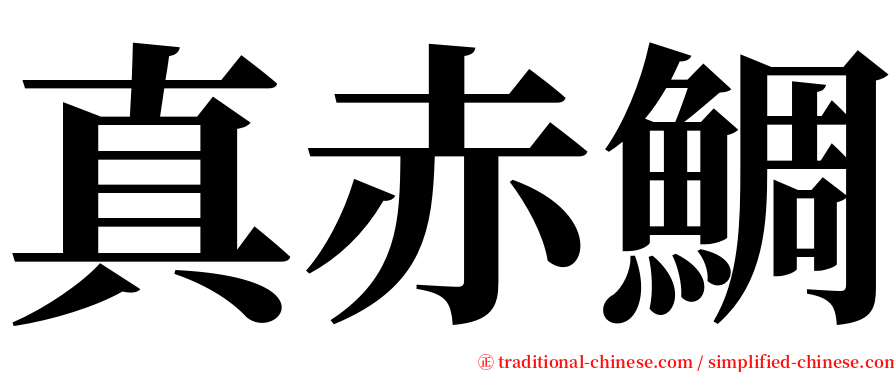 真赤鯛 serif font