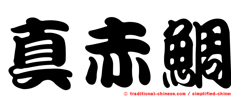 真赤鯛