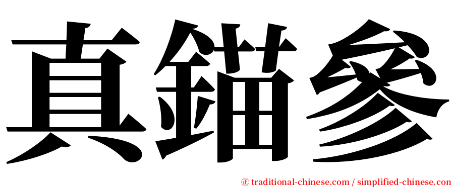 真錨參 serif font