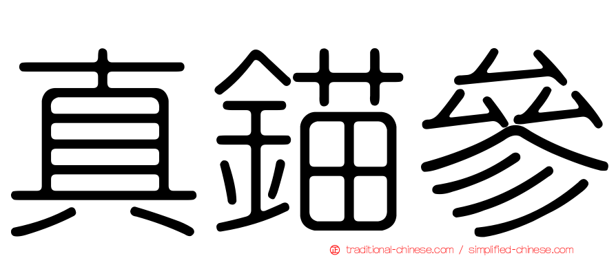 真錨參