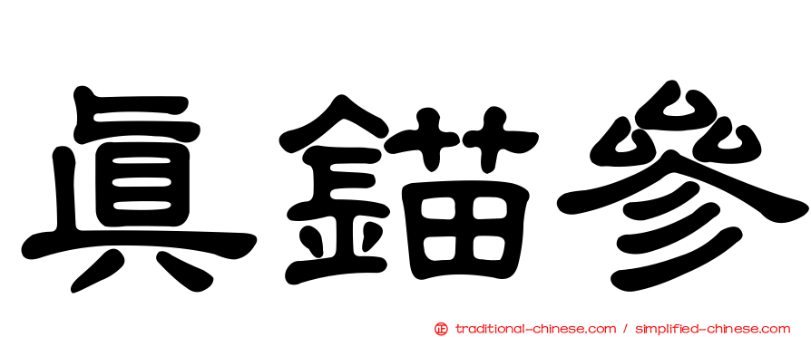真錨參