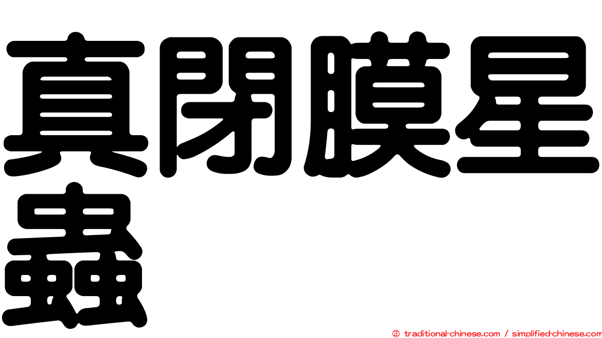 真閉膜星蟲