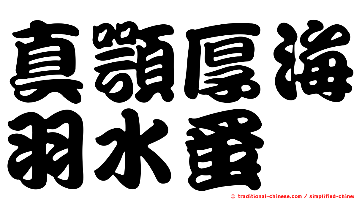 真顎厚海羽水蚤