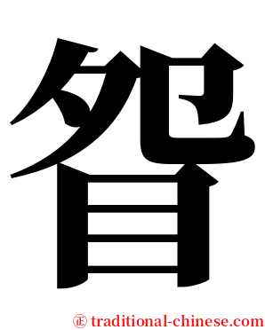 眢 serif font