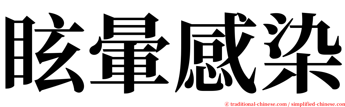 眩暈感染 serif font