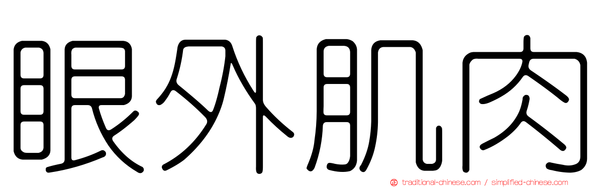 眼外肌肉