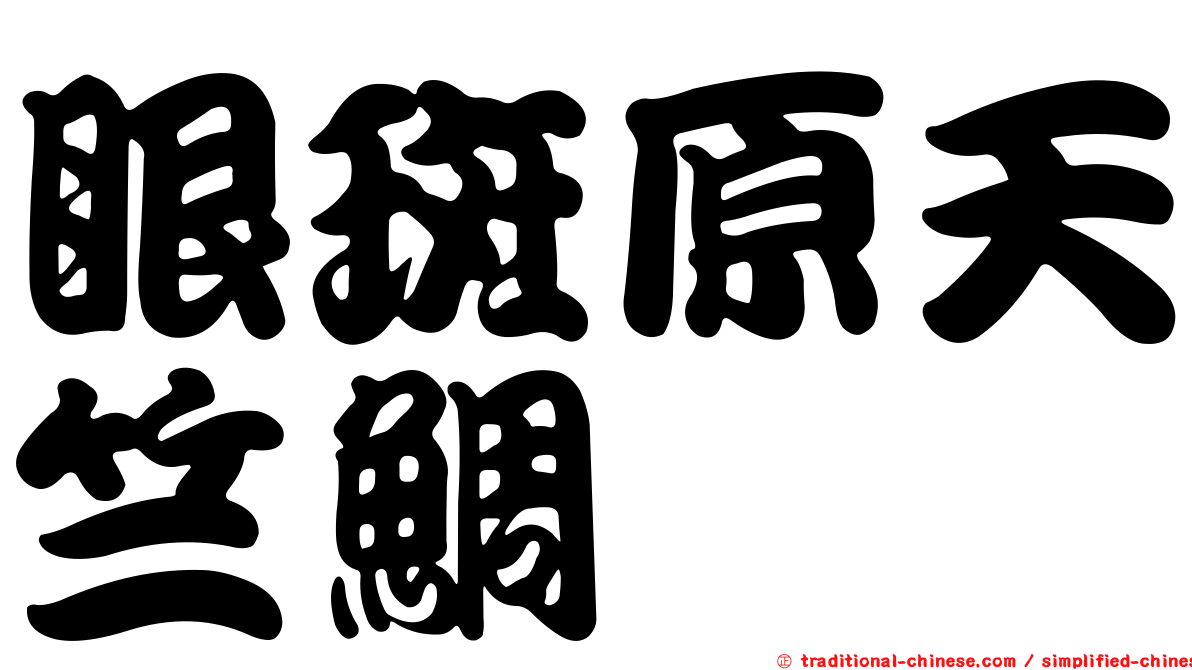 眼斑原天竺鯛