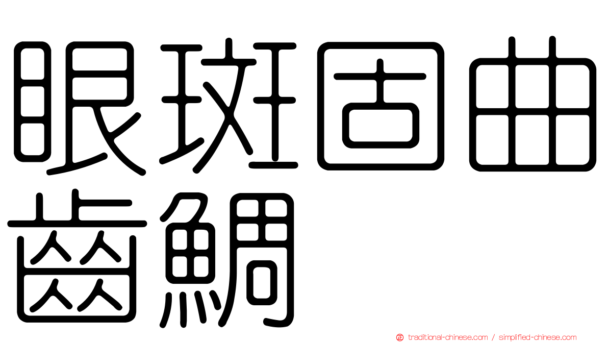 眼斑固曲齒鯛