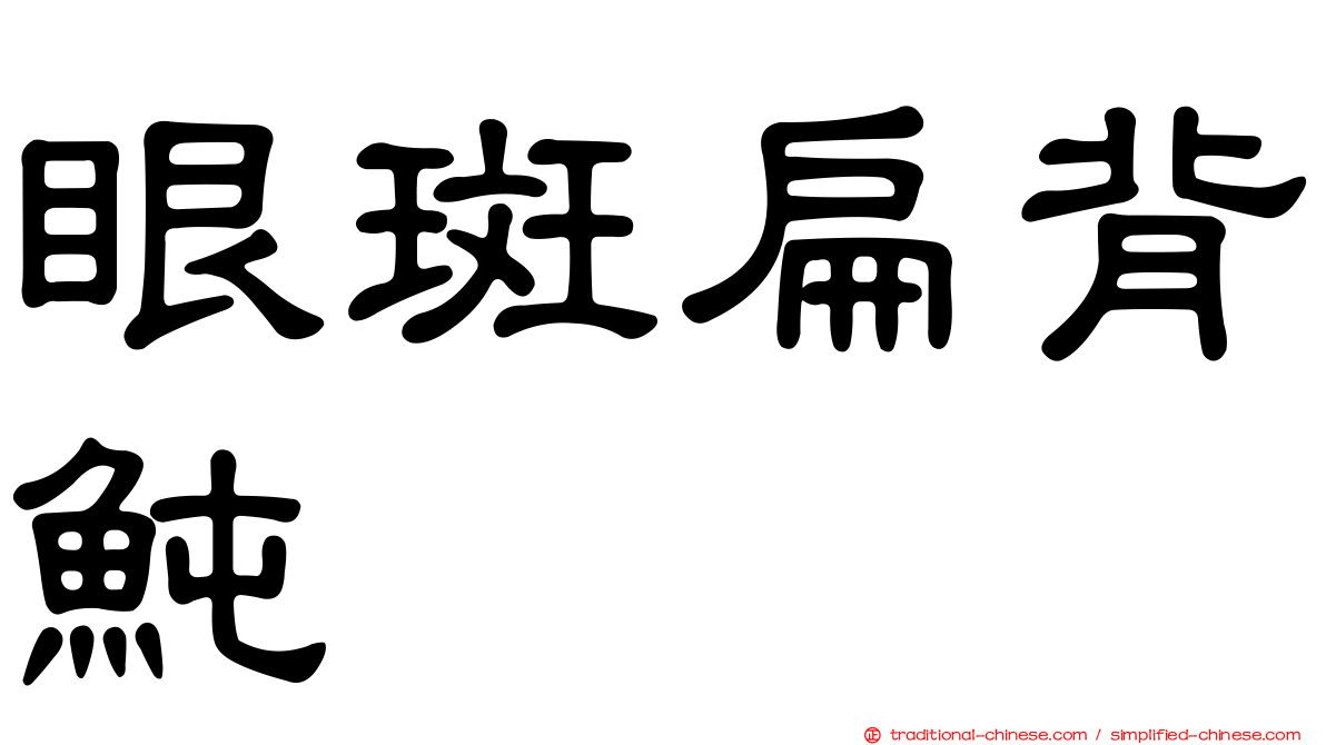 眼斑扁背魨