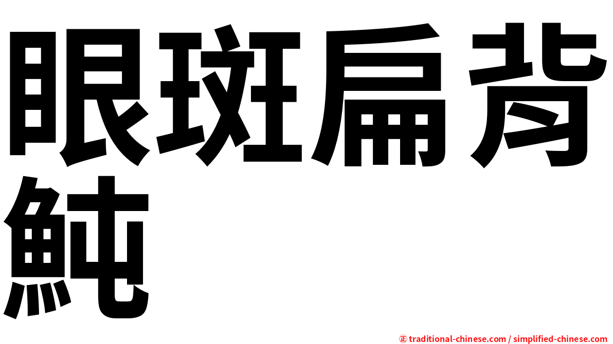 眼斑扁背魨