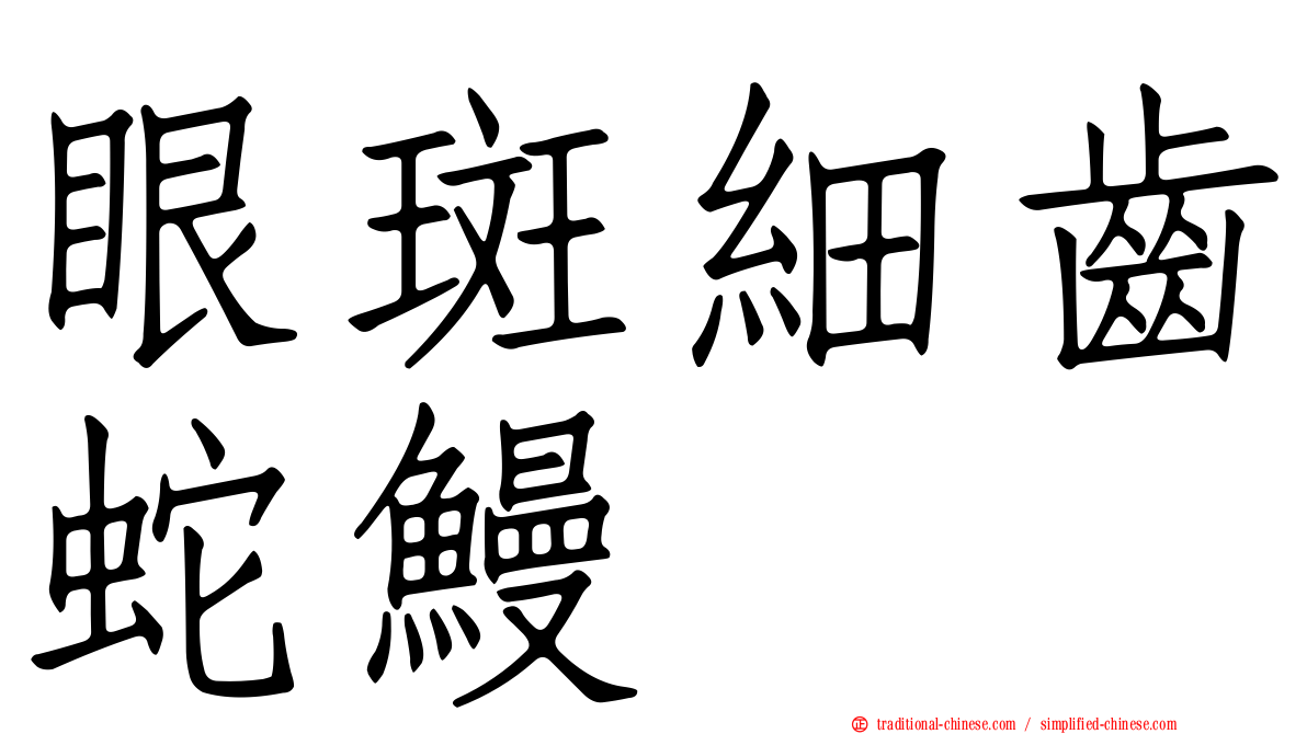 眼斑細齒蛇鰻