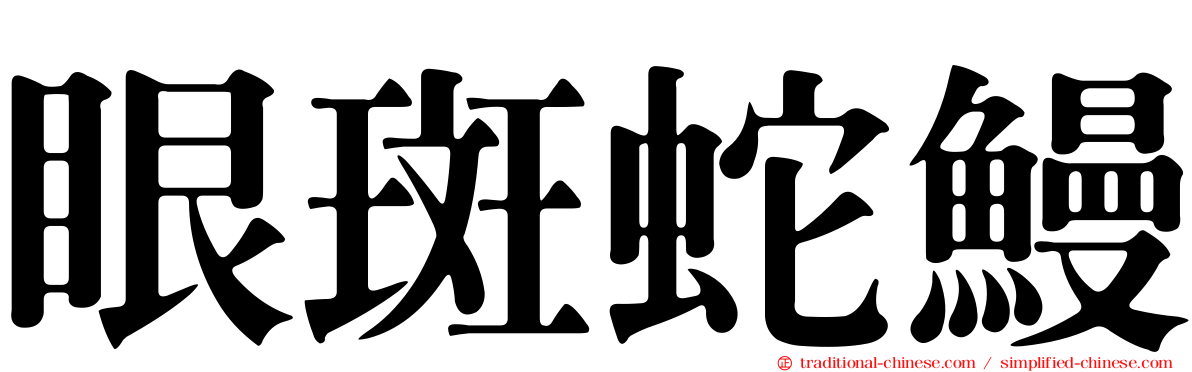 眼斑蛇鰻