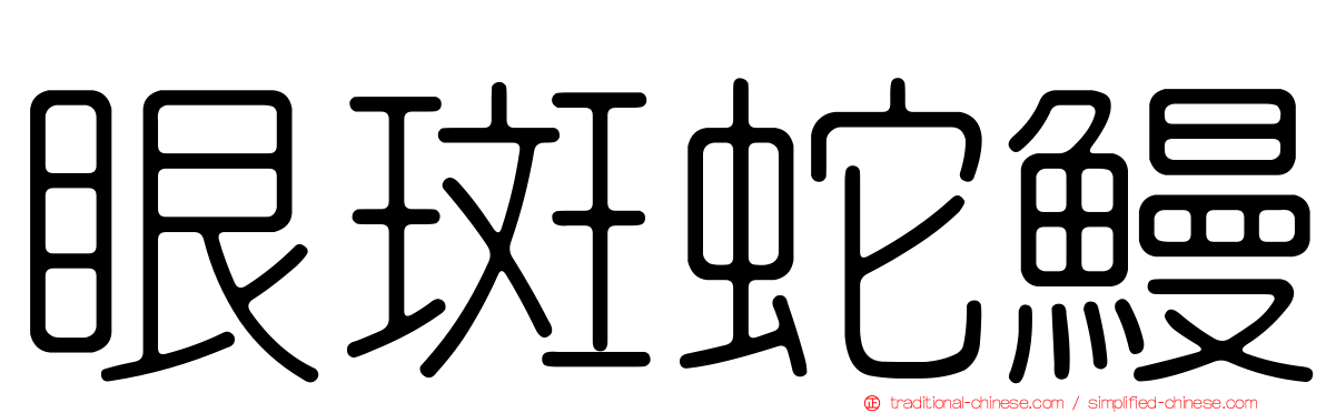 眼斑蛇鰻