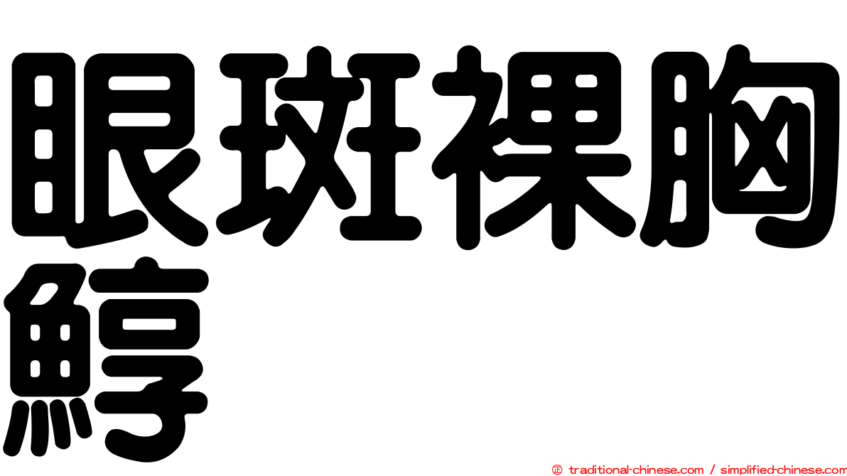 眼斑裸胸鯙