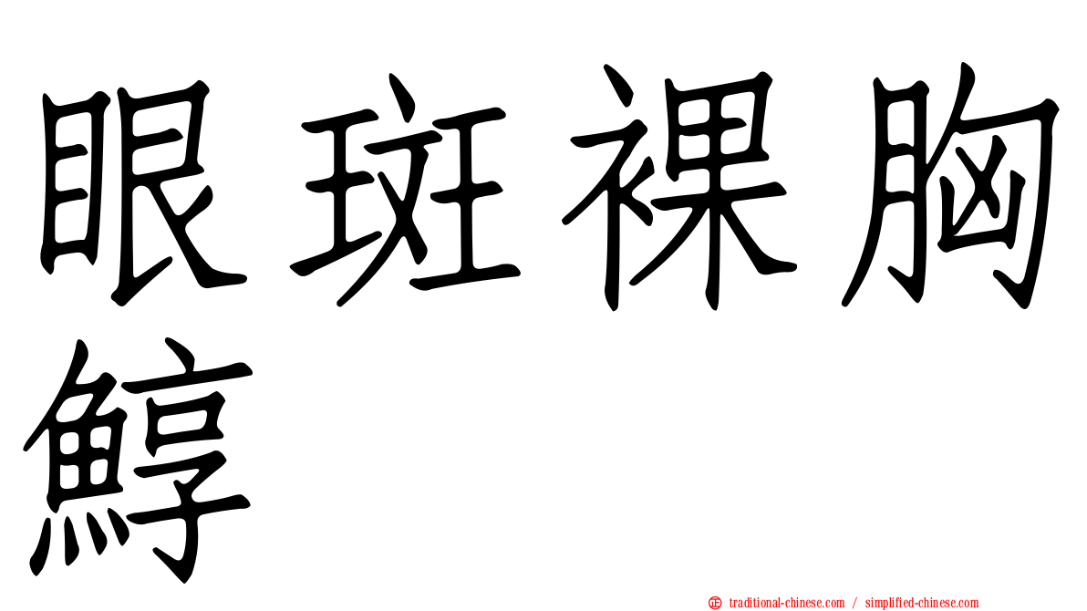 眼斑裸胸鯙
