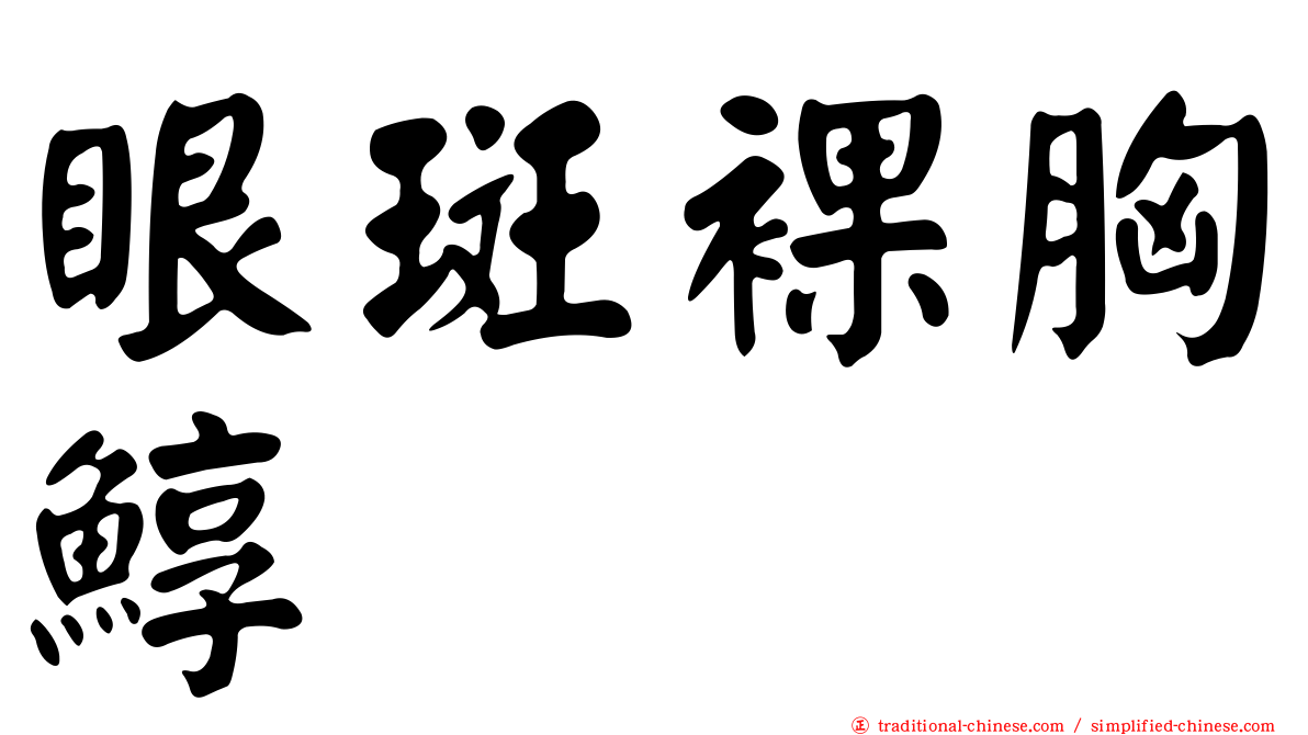 眼斑裸胸鯙