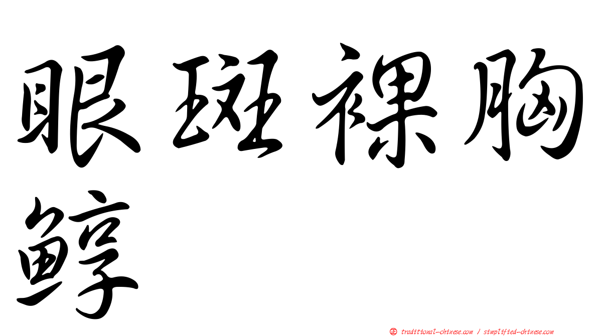 眼斑裸胸鯙