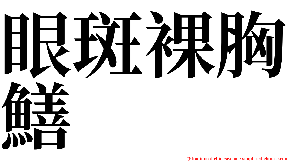 眼斑裸胸鱔 serif font
