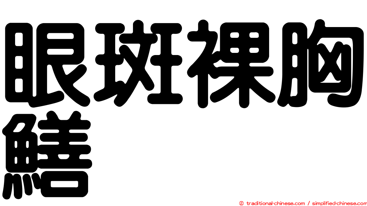 眼斑裸胸鱔