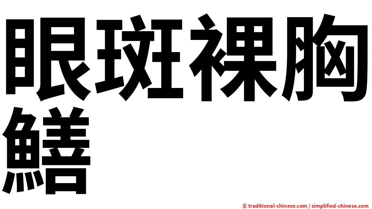 眼斑裸胸鱔