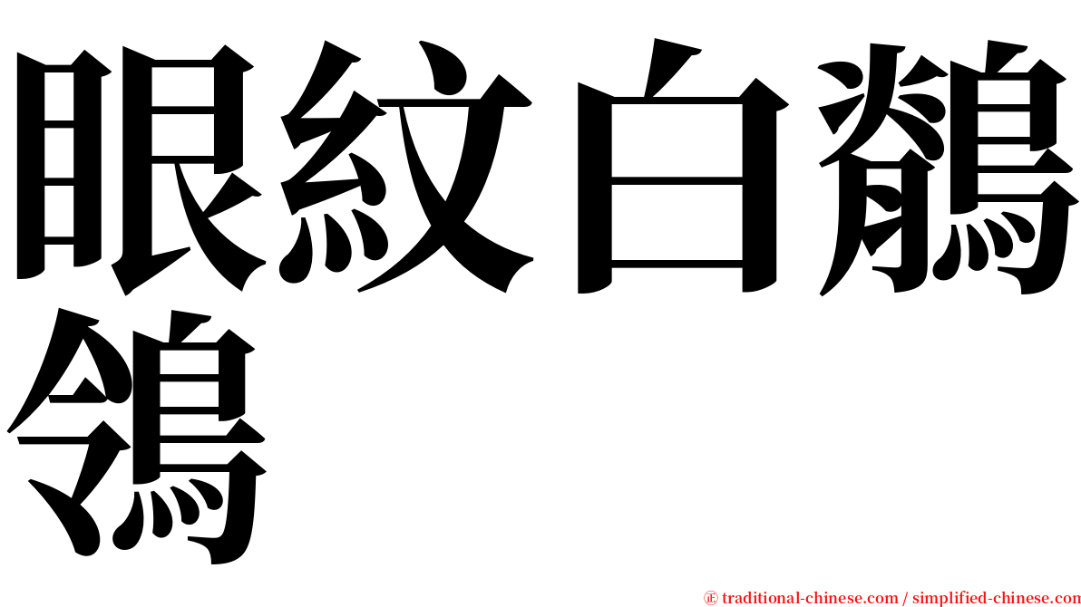 眼紋白鶺鴒 serif font