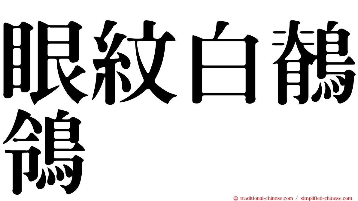 眼紋白鶺鴒