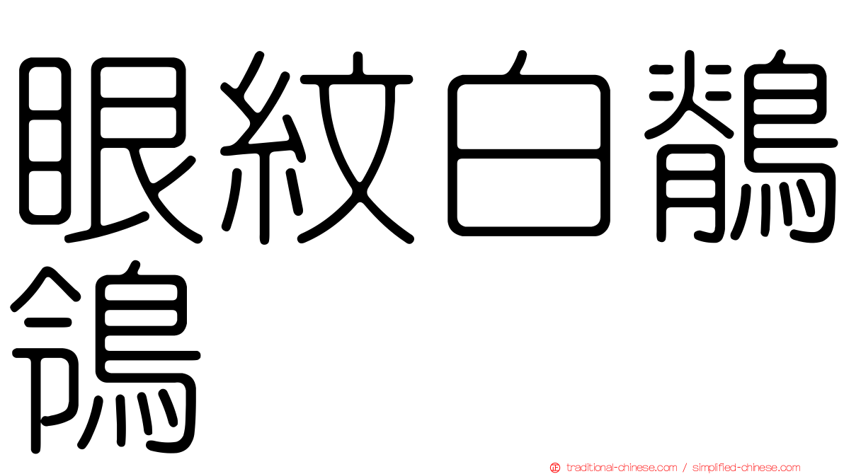 眼紋白鶺鴒