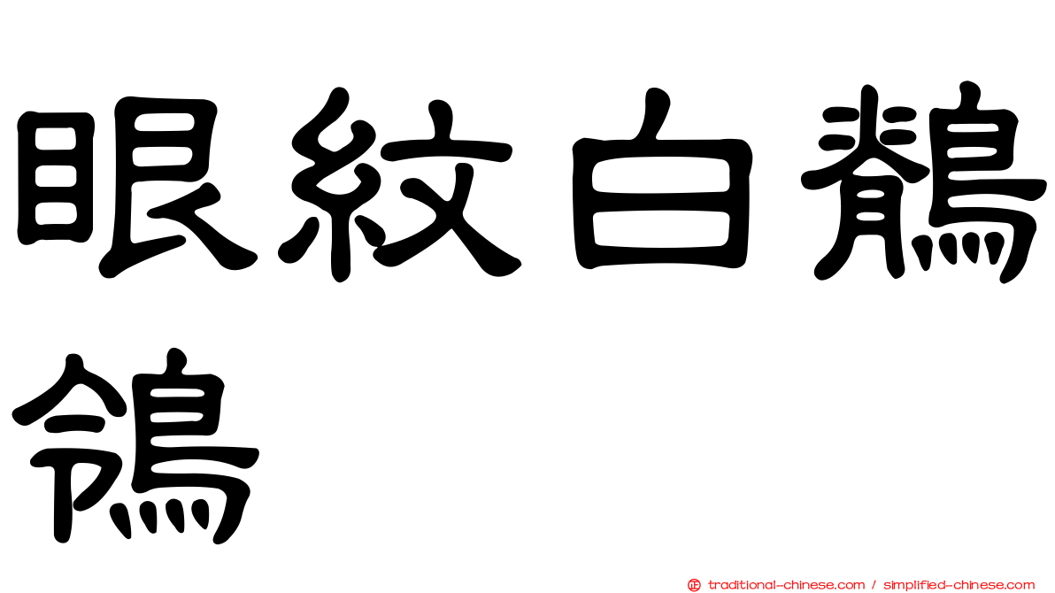 眼紋白鶺鴒