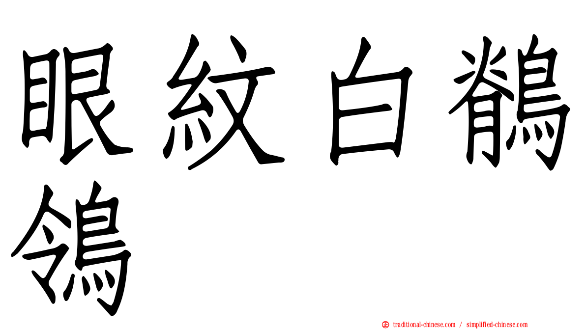 眼紋白鶺鴒