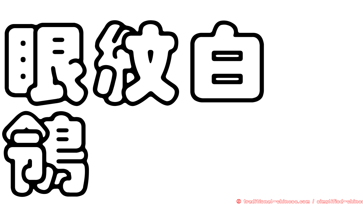 眼紋白鶺鴒