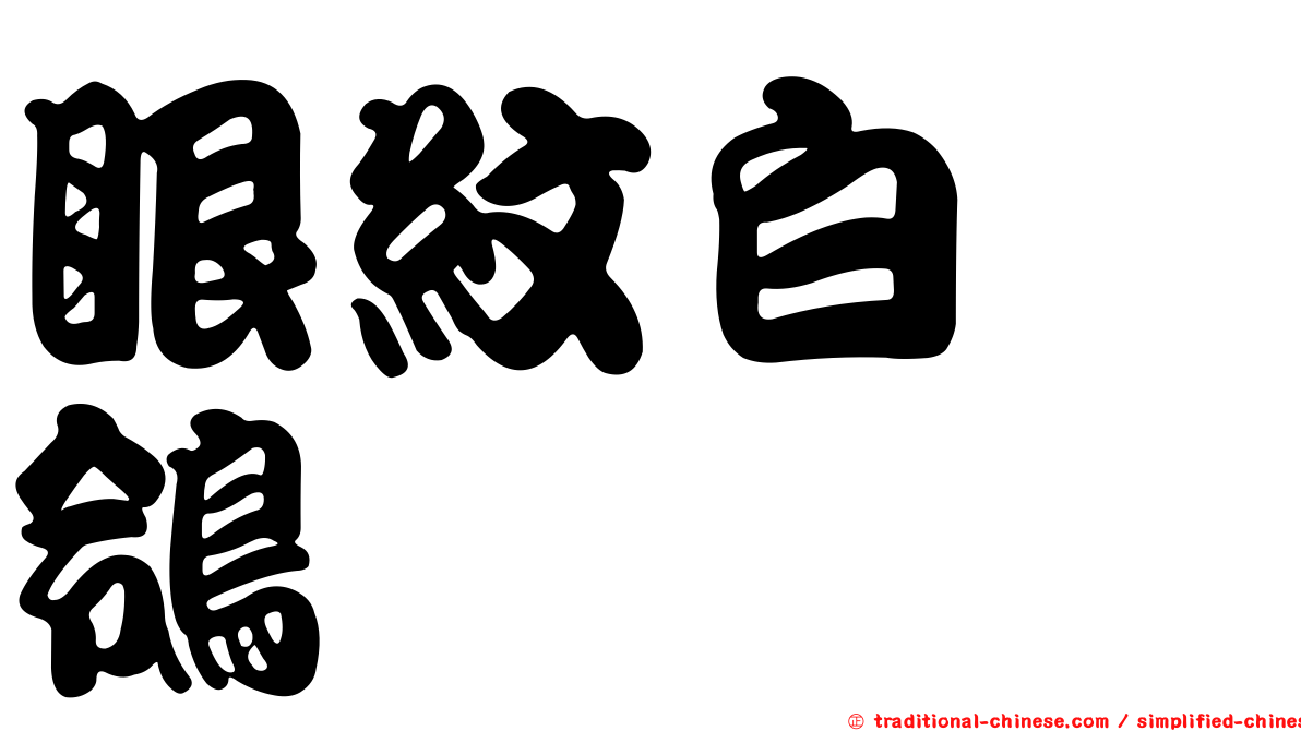 眼紋白鶺鴒