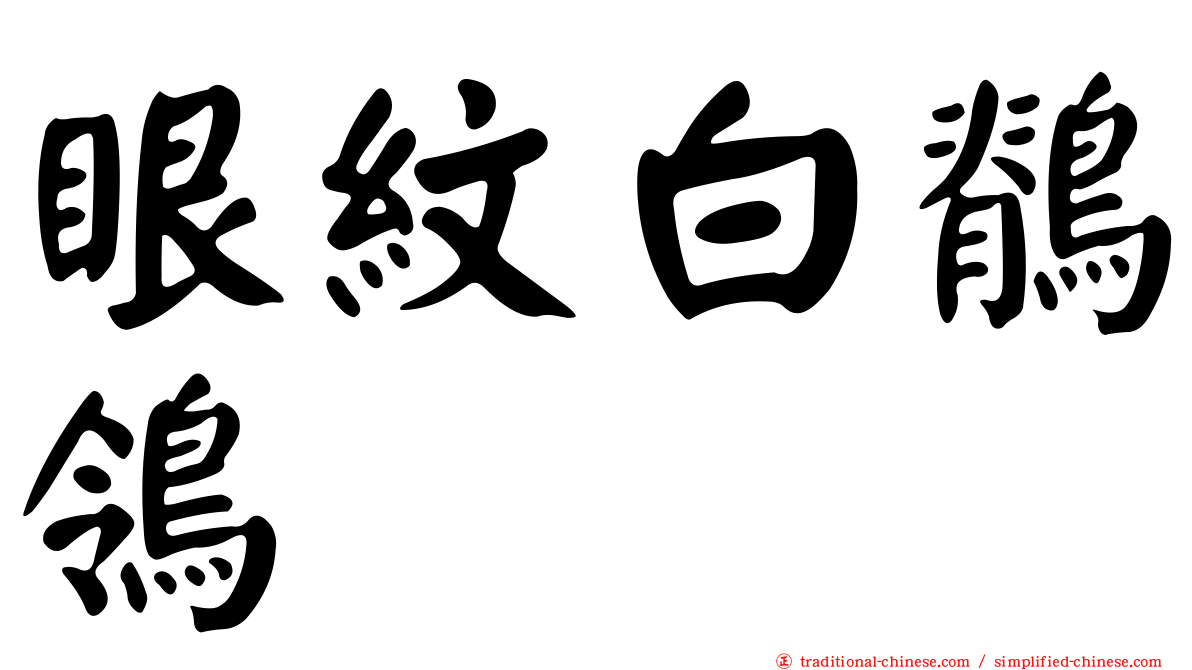 眼紋白鶺鴒