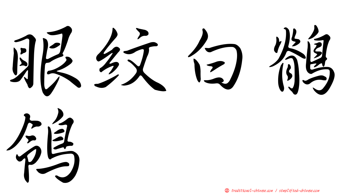 眼紋白鶺鴒