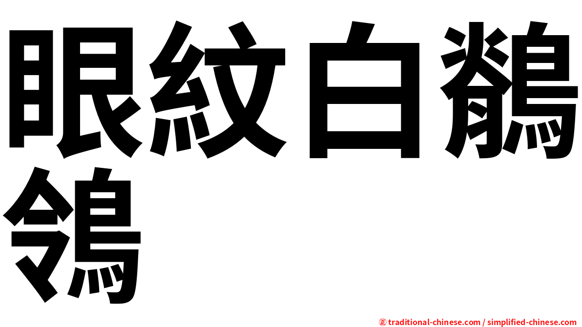 眼紋白鶺鴒