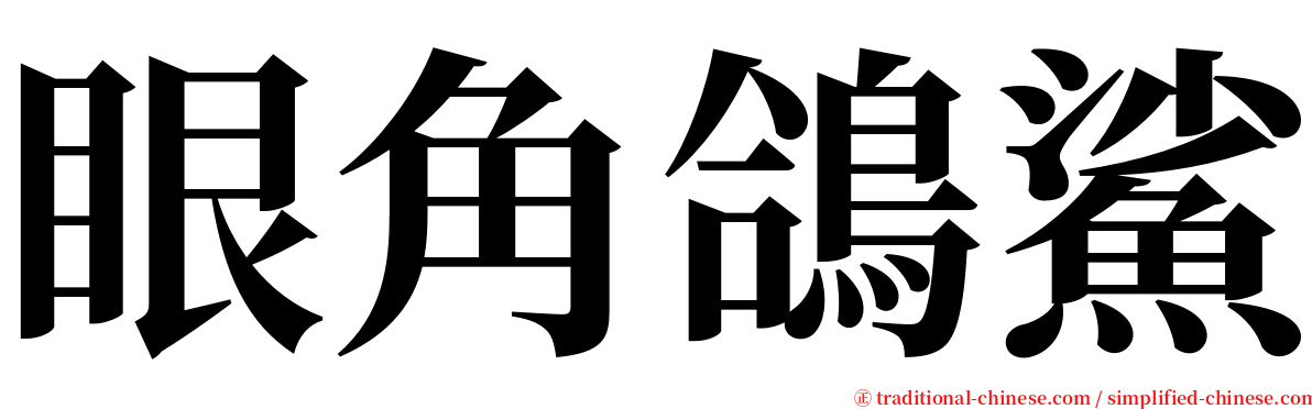 眼角鴿鯊 serif font