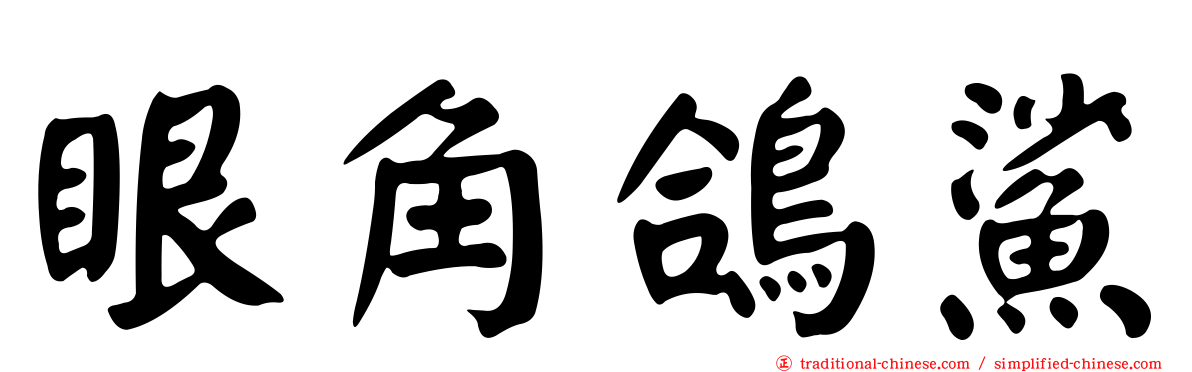 眼角鴿鯊