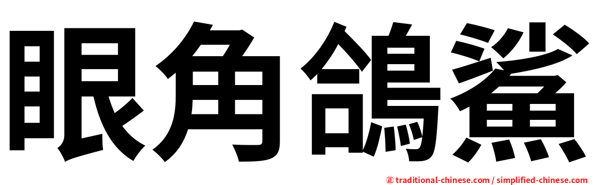 眼角鴿鯊